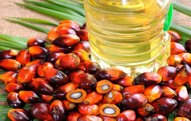 FIRST MUJUR PLANTATION & INDUSTRI, PT 