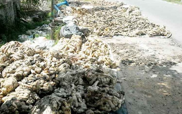 PTP NUSANTARA III BANDAR BETSY