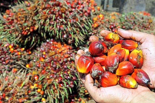 PTP NUSANTARA IV KEBUN AIR BATU