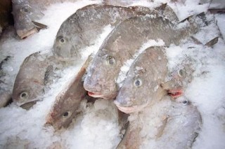 DHARMA SAMUDERA FISHING INDUSTRIES, PT.