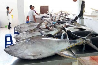BALI NUSA WINDU MAS, PT